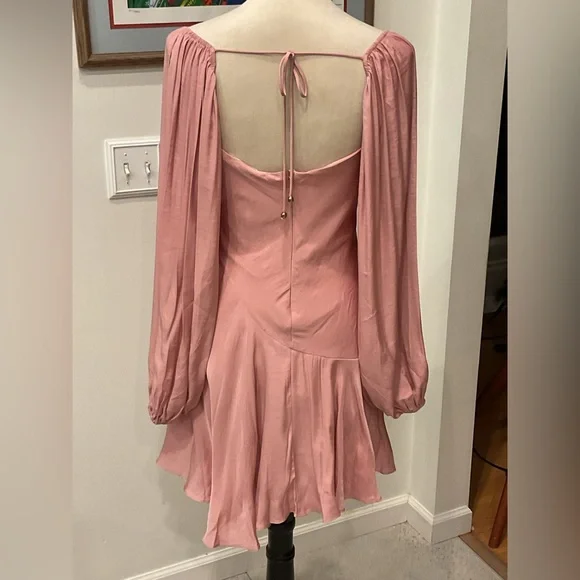 saints + secrets Rose Long Sleeve Ruffle-Hem Dress - Picture 3 of 12